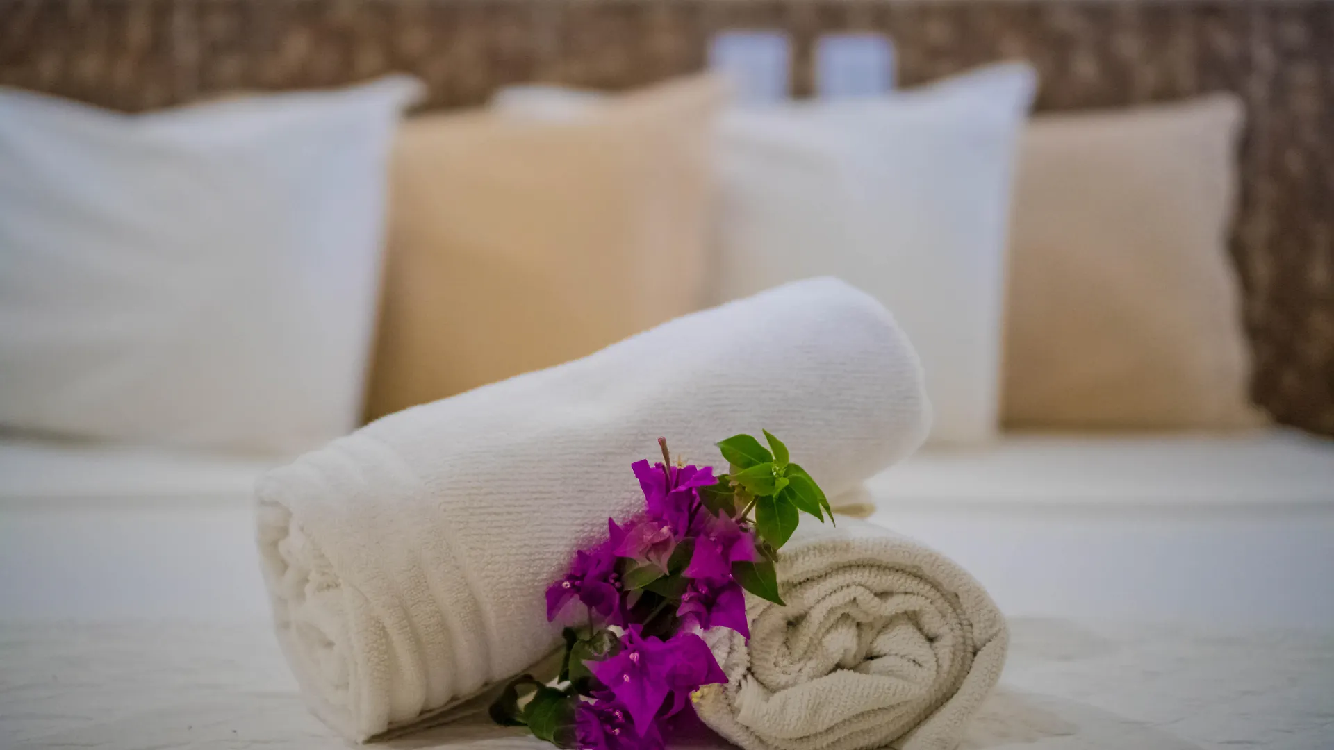 Hotel Ramada By Wyndham Porto Seguro Praia
